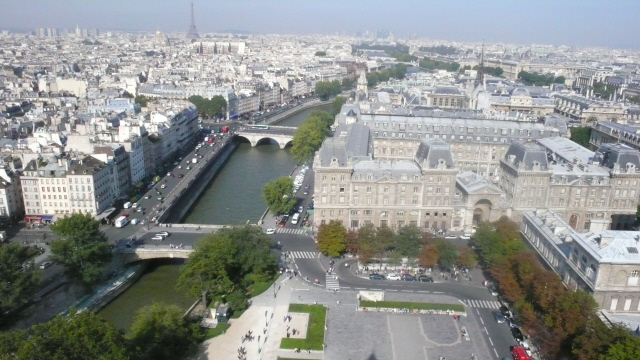 Paris From Notre Dame Tower