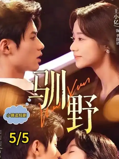 本页专题深读第三篇的节展观察配图